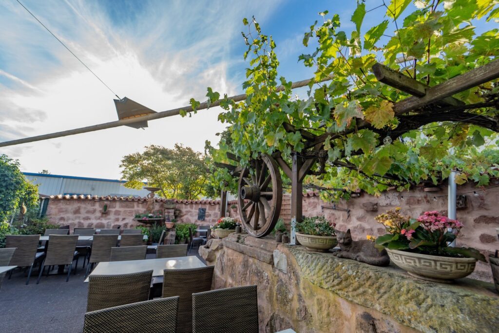 Biergarten unter Reben der Flammkuchenhütte Becker in Mehlingen bei Kaiserslautern